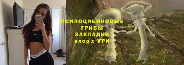 сатива Магас