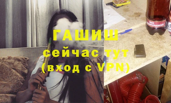 сатива Магас