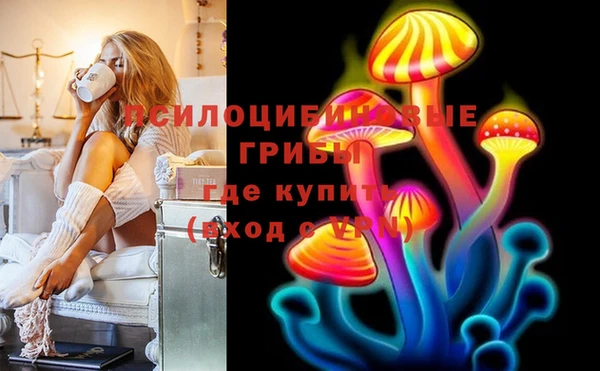 соль ск Михайловск