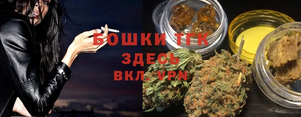 сатива Магас