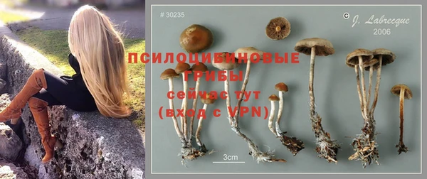 бошки Михайловка