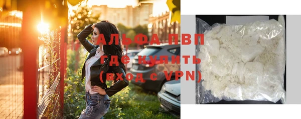 сатива Магас