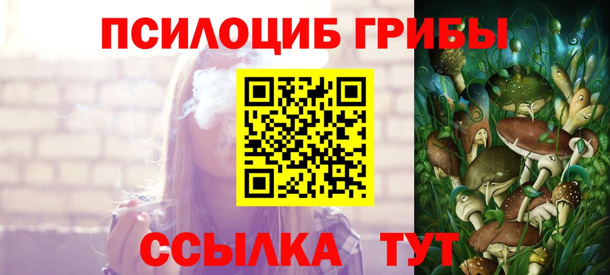 Псилоцибиновые грибы GOLDEN TEACHER Мелеуз