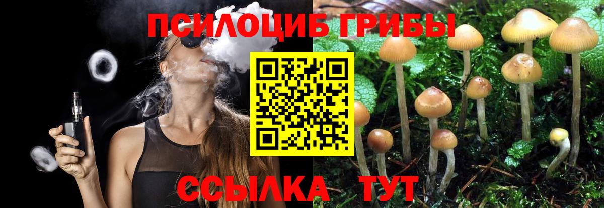Псилоцибиновые грибы Magic Shrooms  Галлюциногенные грибы GOLDEN TEACHER  Вход с VPN  Мелеуз 